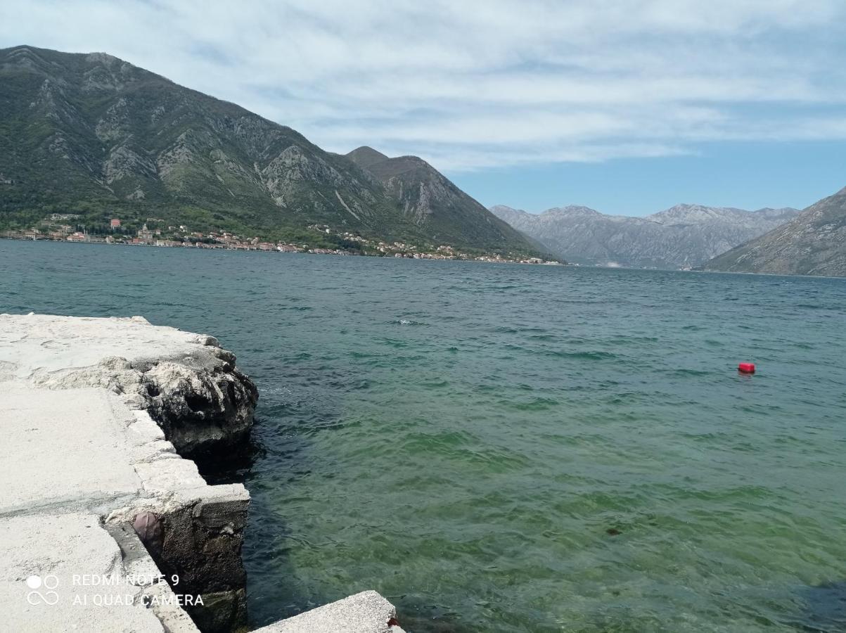 Apartman Milena 1 Kotor Eksteriør billede